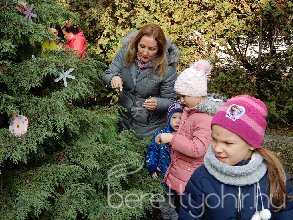 Fenyődíszítés a kórházban 17